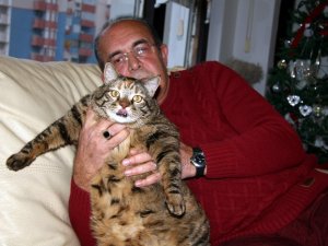 Böyle kedi mi olur?