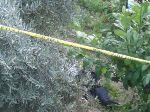 Antalya'daki cinayetin görüntüleri izlendi