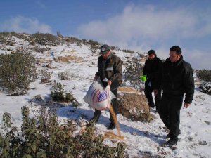 Karadeniz'e yem desteği