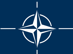 NATO öncü gücü onayladı