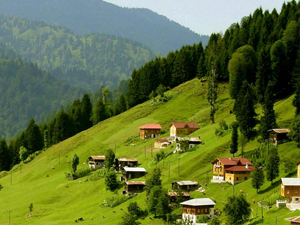 Giresun'da yayla turizmi için harekete geçiliyor