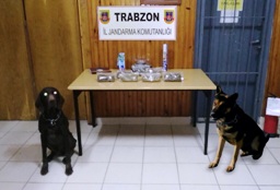 Trabzon jandarmasından baskın