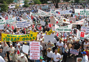 Fındık üreticilerinden eylem