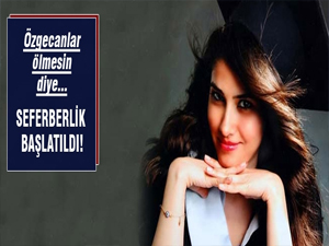 Başbakanlık harekete geçti!