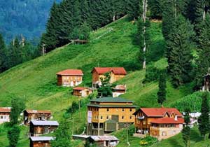 Ayder İstanbul'a taşınıyor