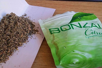 Bonzainin cezası artıyor