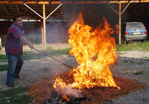 Önce helallik aldı sonra yaktı!