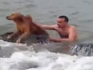 Giresun'da köpek kurtarma operasyonu!