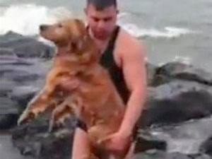 Giresun'da kurtarılan köpek sır oldu!