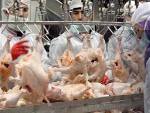 Dikkat! Bugünden itibaren yasak