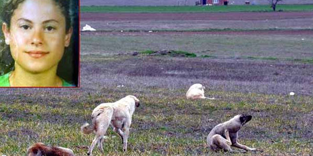 Sokak köpekleri kadını parçaladı