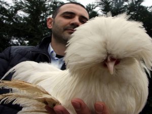 Bu paraya tavuk mu olur?