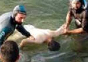 Turistler az kalsın boğuluyordu