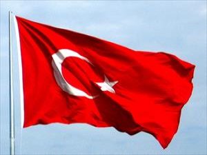 Bayrağı indirip yakmaya çalıştılar