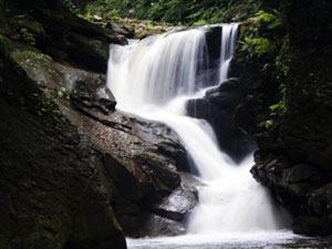 Ordu'nun dereleri turizme akacak