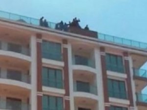 Rize'de toplu intihar girişimi!