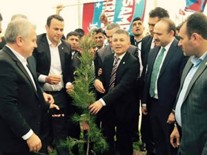 Ne bu ağaç solacak be bu bayrak inecek!