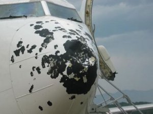 Havada kuş alarmı devam ediyor