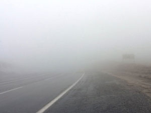 Gümüşhane'de siste kayboldular