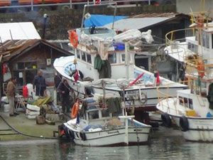 Sezon bitmeden av bitti