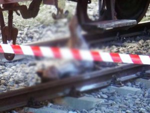 27 Bin 500 voltluk akıma kapılarak can verdi