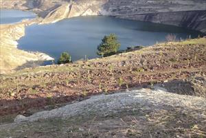 O maden ormana çevriliyor