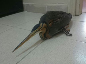 Trabzon'da işçilerden örnek davranış!