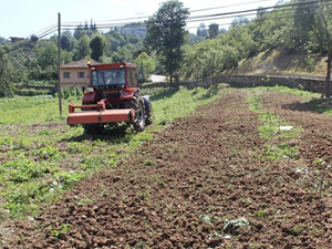 Trabzon ve Rize düşüşte