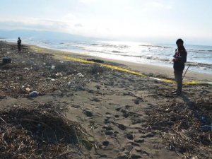 Deniz kenarında kadın cesedi bulundu