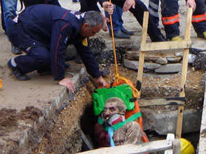 Kanalizasyon çalışması sırasında göçük