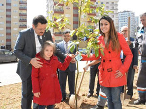 Ortahisar'da fidan seferberliği!