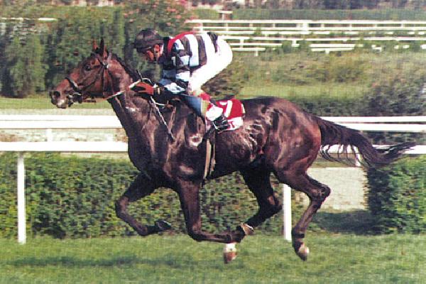 Efsane Bold Pilot hayatını kaybetti