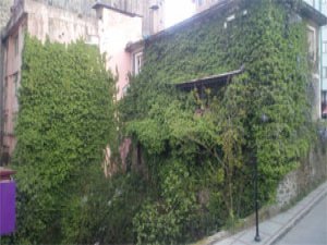 Rize'de ilginç bina