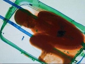 Bavuldan çıkan polisleri şaşkına çevirdi!