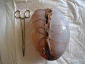 Samsun'da inanılmaz olay!