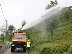 Çay üretimi hızla değişiyor