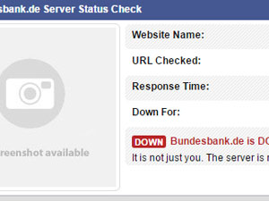 Türk hackerler Alman gizli servisini çökertti