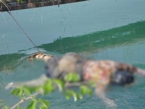 Gördüğü kadın cesedini ayağından bağladı