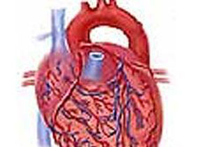 48 gün kalpsiz yaşadı