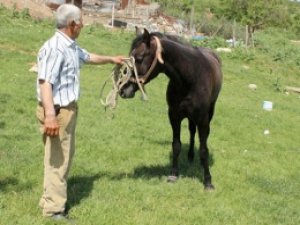 5 bin TL maaşlı işi bırakan çoban