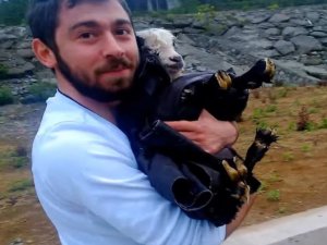 Derede mahsur kalan kuzuyu kurtardı