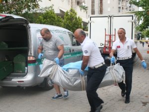 Yaşlı kadının feci sonu