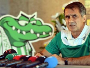 İlle de Şenol Güneş