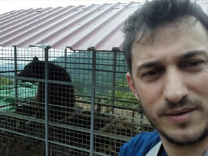 Trabzon'da ayı isyanı!