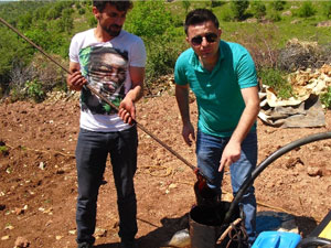 Su ararken bakın ne buldu!