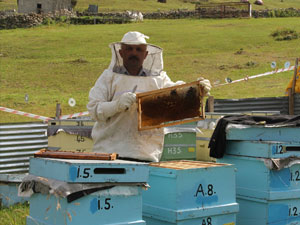 Anzer balının fiyatı belli oldu!