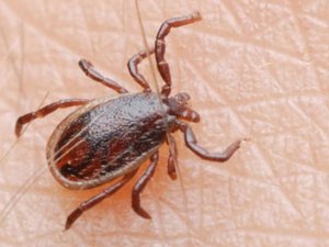 Bu illerde yaşayanlar dikkat!