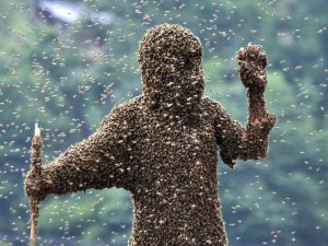 Ordu'da Arılar can aldı!