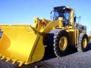 Tuvaletini yaparken can verdi!