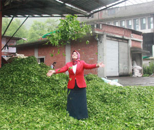 "Trabzon yolların kesişme noktası olacak"